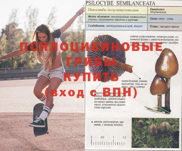 а пвп мука Верхний Тагил