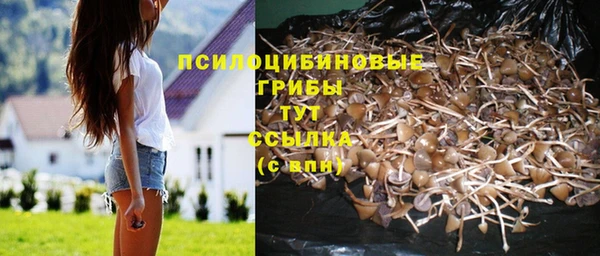 а пвп мука Верхний Тагил