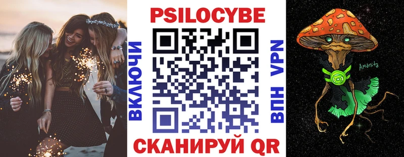 Галлюциногенные грибы Psilocybe  Купить где  Константиновск 